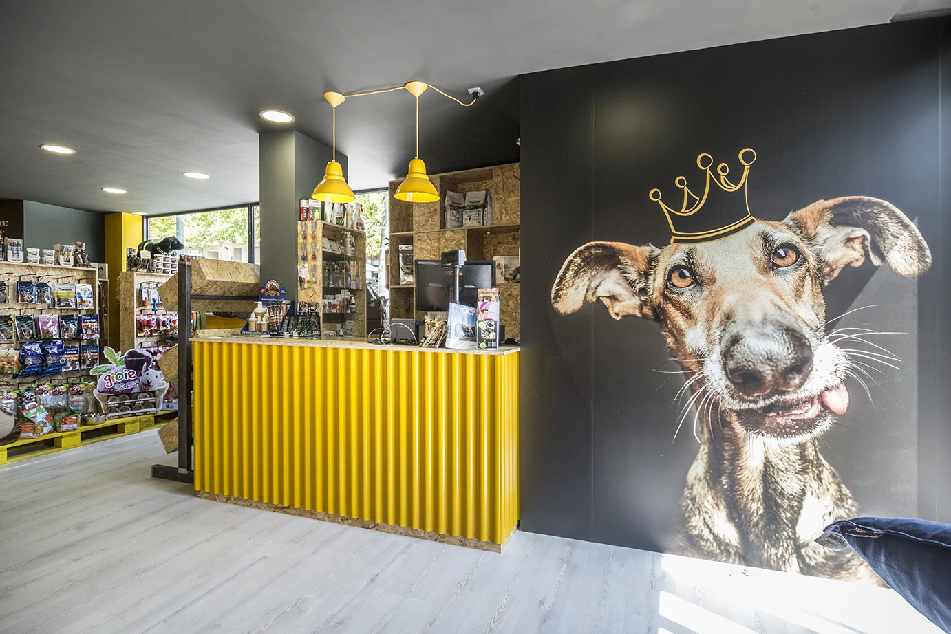 The Animal King · Manresa